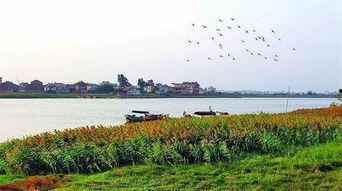 木兰溪跳河最新爆料,揭秘背后惊人真相